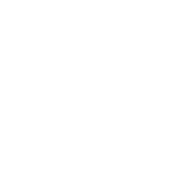 paper.png
