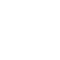 protection (2).png