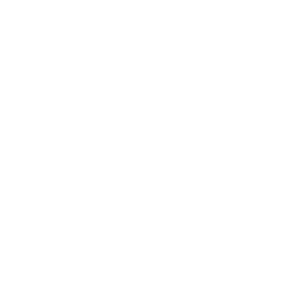 vision (1).png