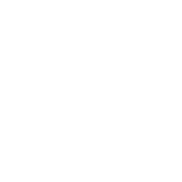 recognition.png