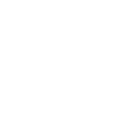 idea (3).png