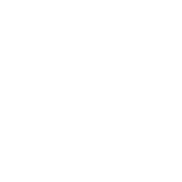 digitalization.png