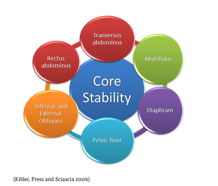 Core Stability vs. Core Strength