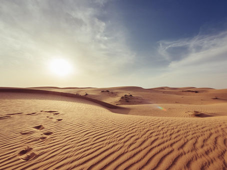 Hyperarid Zone Regeneration: The Investment Case