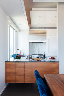East 74 Penthouse_15