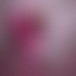 Toujours tres en couleur, Manon #couleurs #Z9 #belgium #nikon_photography #neewer #topmodel