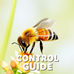 Comprehensive Guide to Bee Control Services