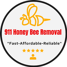 Professional Honey Bee Removal Service Texas