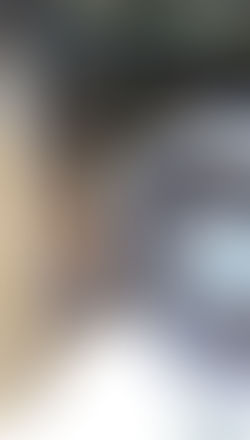 "Stop ignoring that buzzing noise right now, because if you wait too long, your entire backyard could become a hive of chaos before you even notice. ⏰🐝",