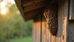 Specialized Spring Bee Removal Services
