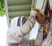 San Antonio Bee Removal Reviews: Why 911 Honey Bee Removal Stands Out