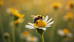 Exploring the Importance of Texas Native Bees and Their Role in Our Ecosystem