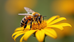 Fascinating Facts About the Western Honey Bee