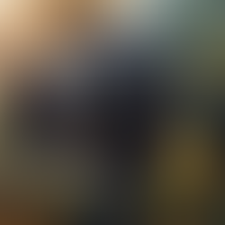 Promotion des exportations et échanges intra-africains : Actualités