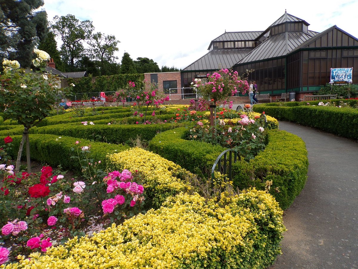 Tropical World