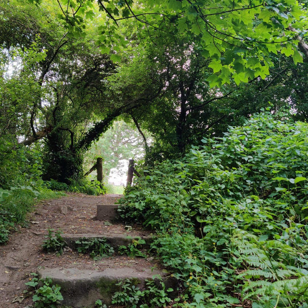 Hawksworth Wood