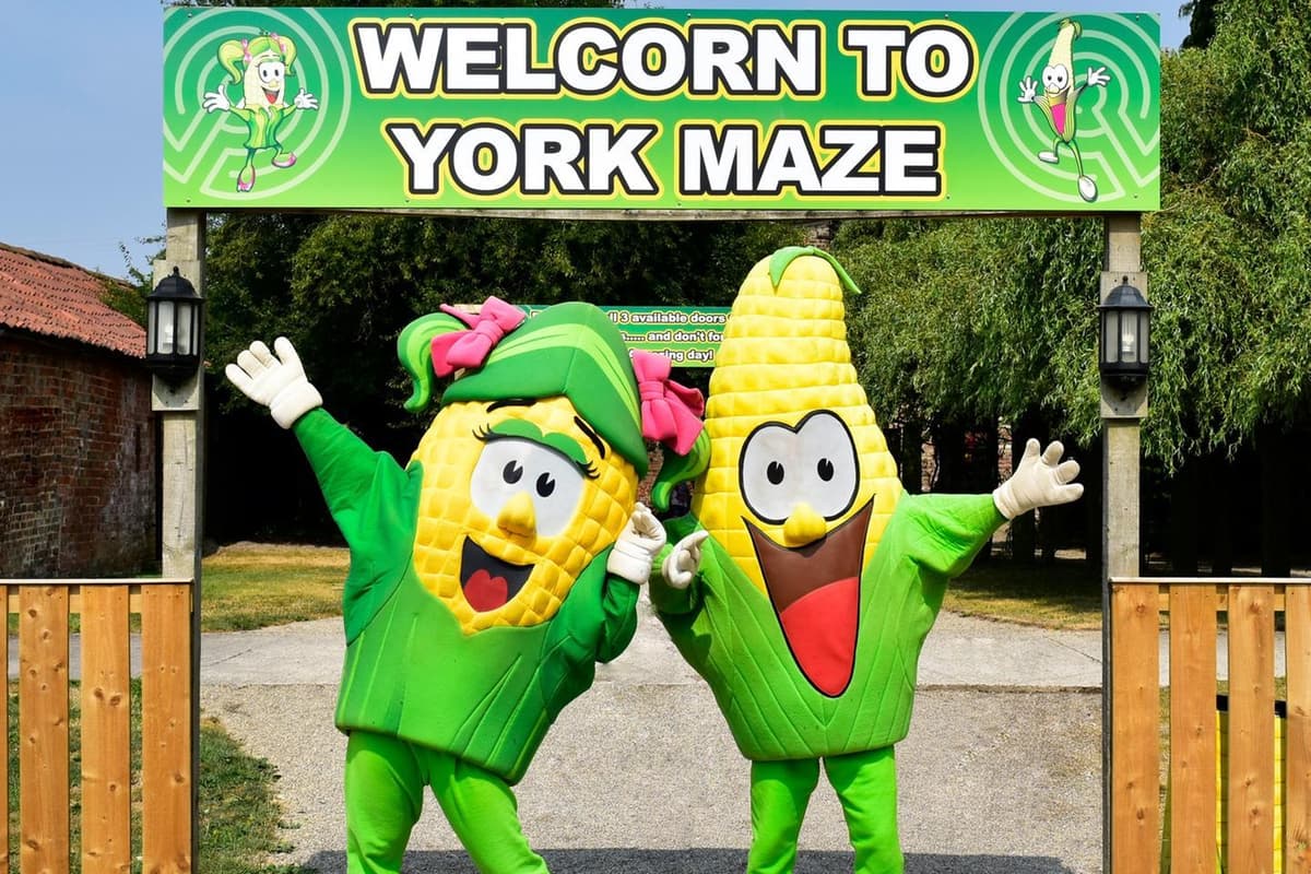 York Maze