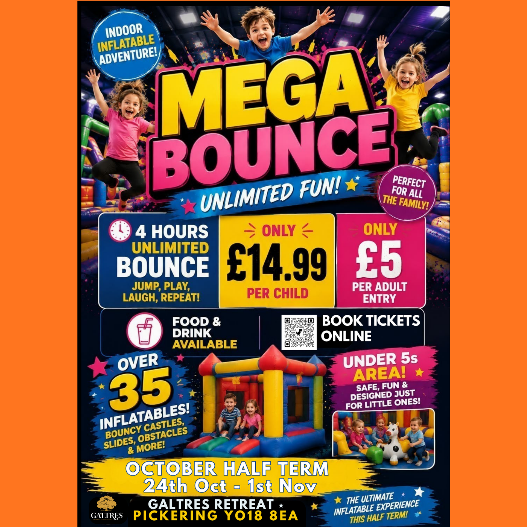 Mega Bounce