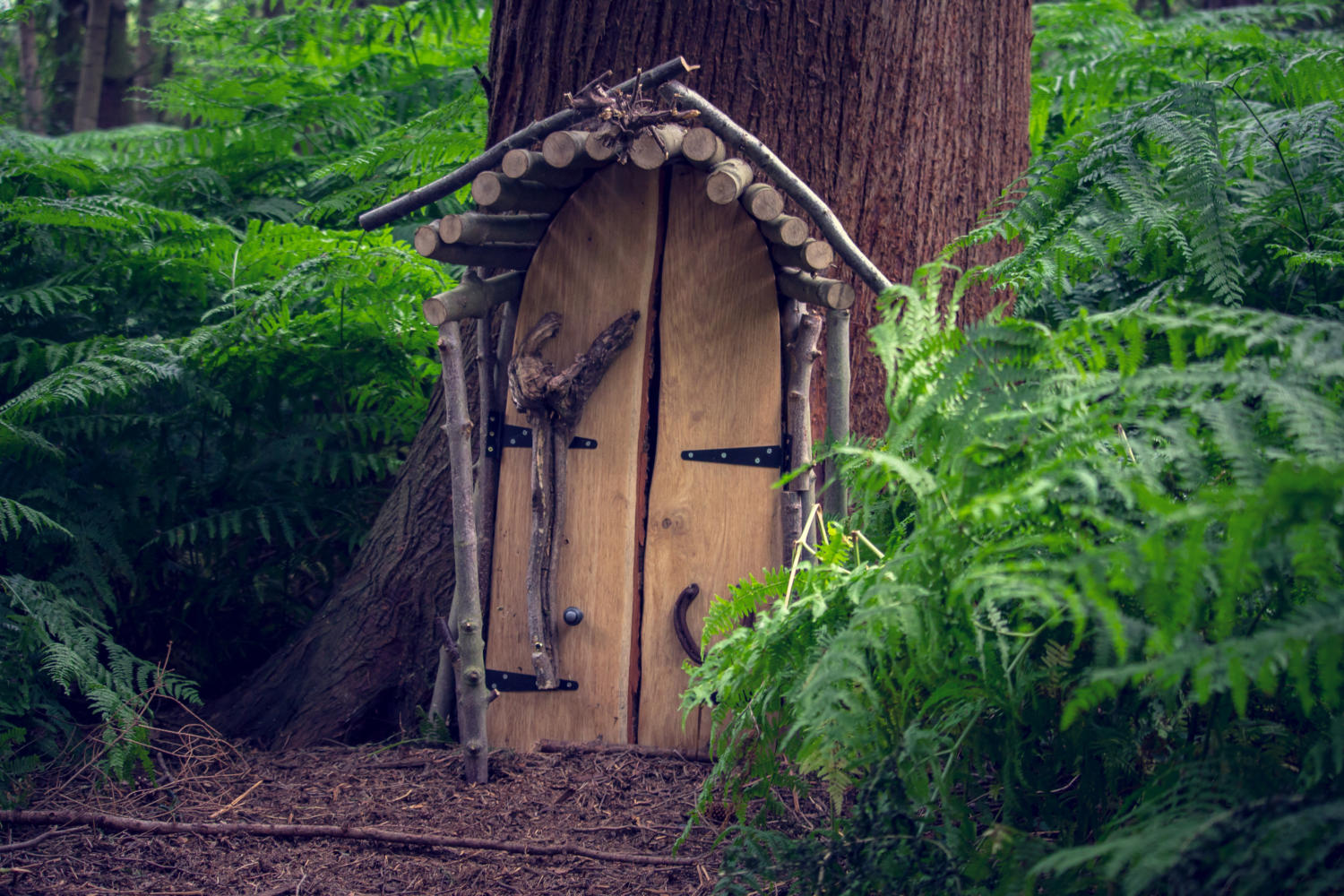 Fairy Trail
