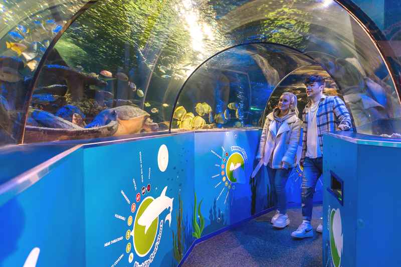 Sea Life Scarborough