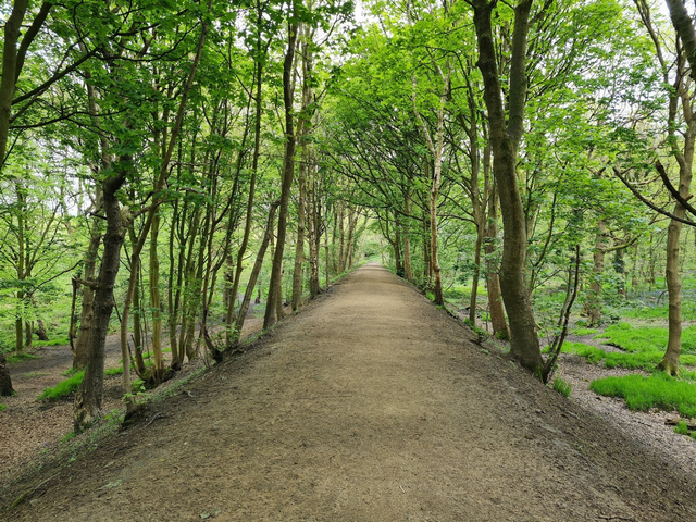 Bramley Falls Park