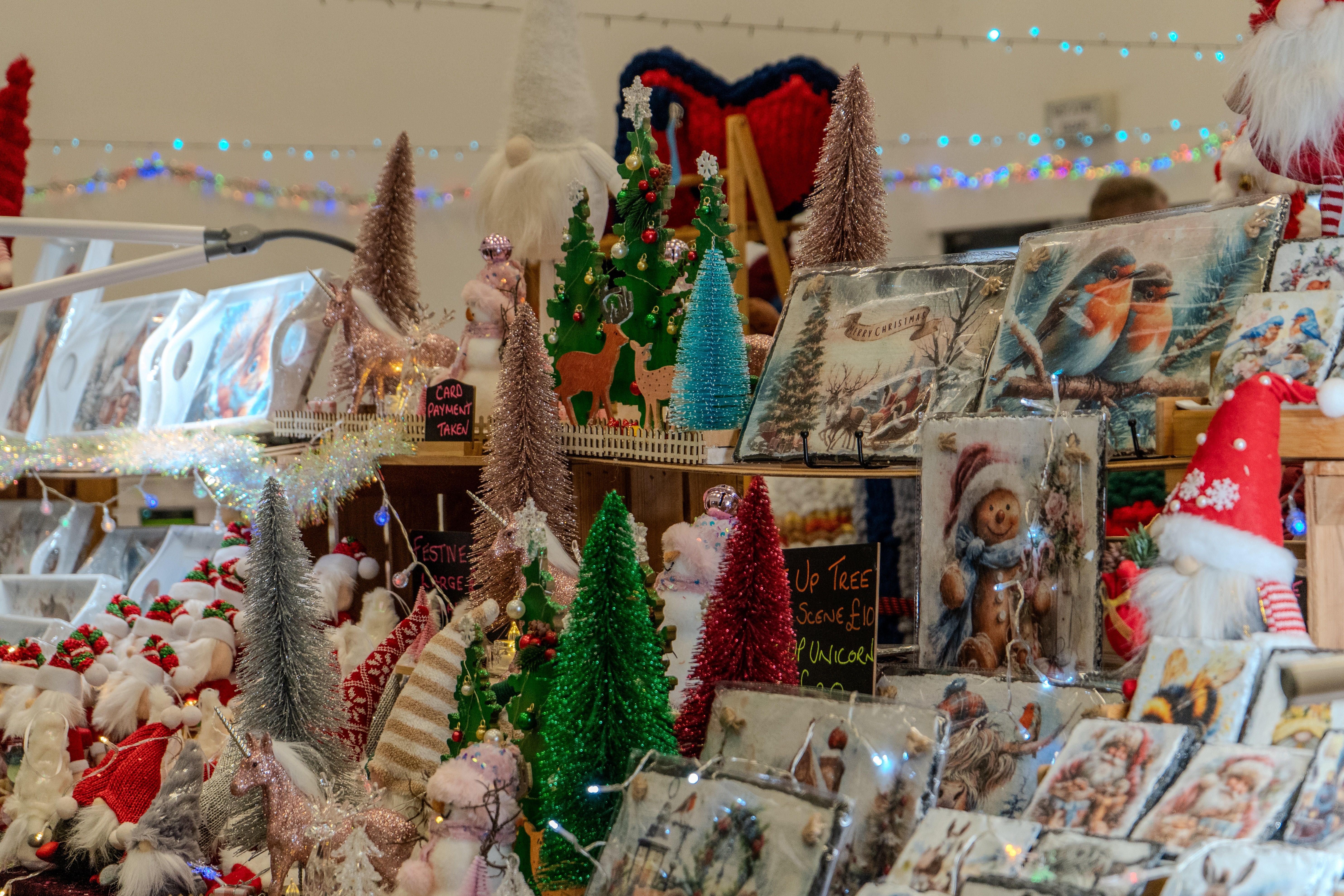 Christmas Festival