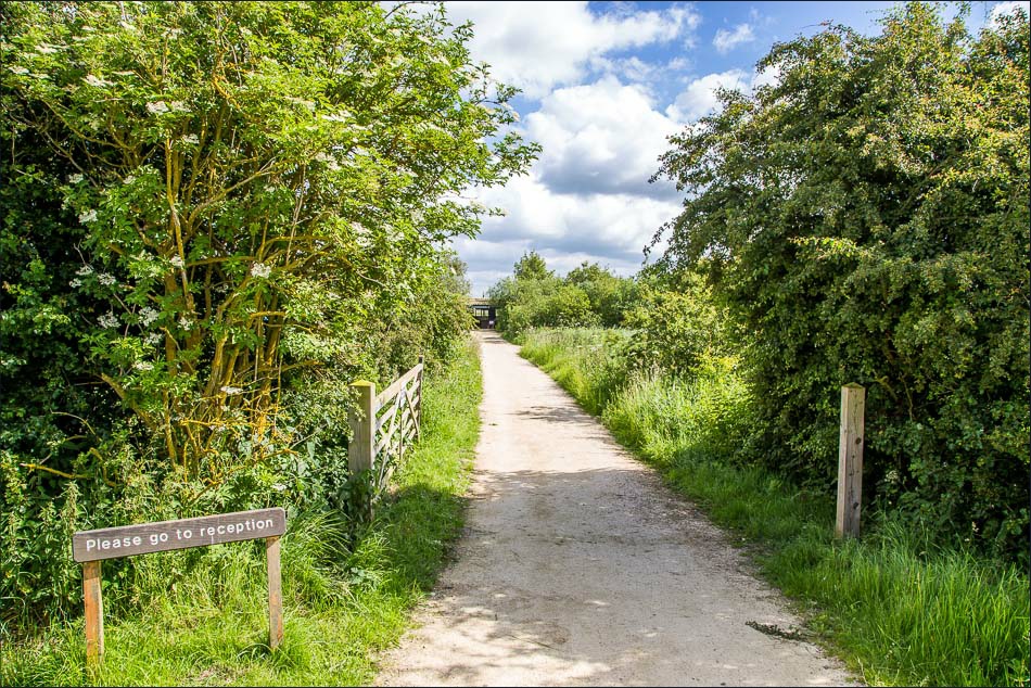 Blacktoft Sands