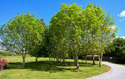 Malton Grange Country Park