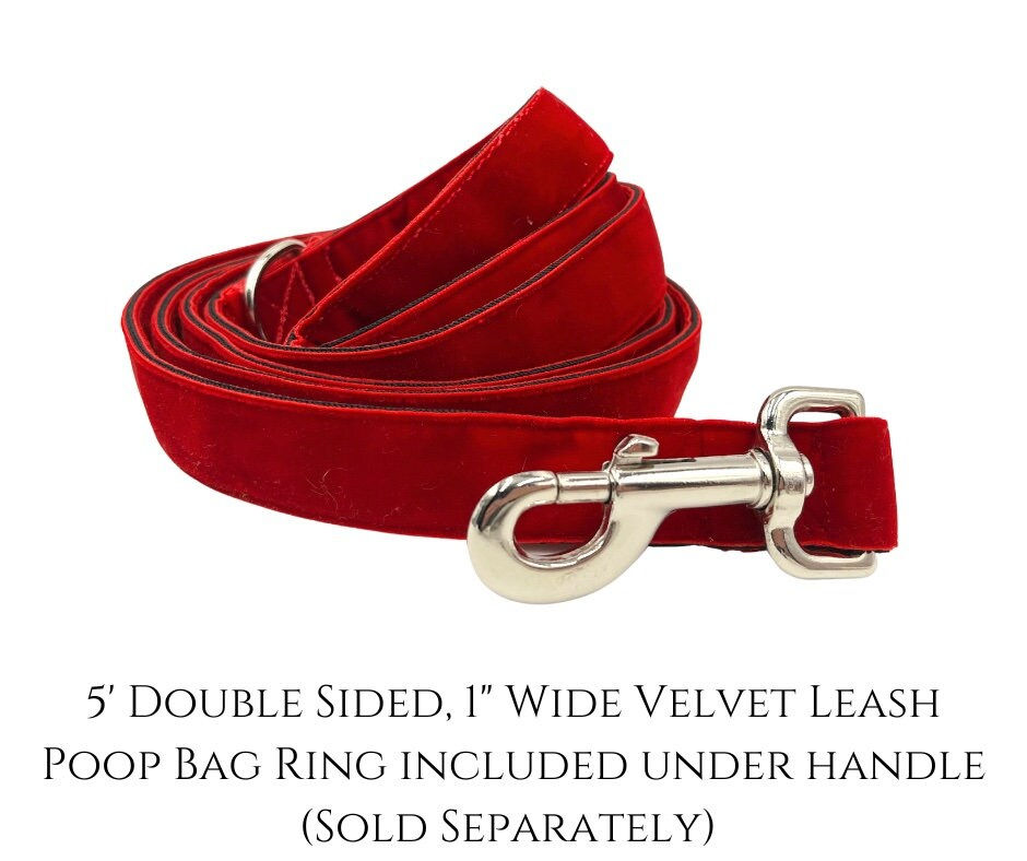 Thumbnail: Spring Birds | 1 1/2" Wide Buckle or Martingale Style Dog Collar