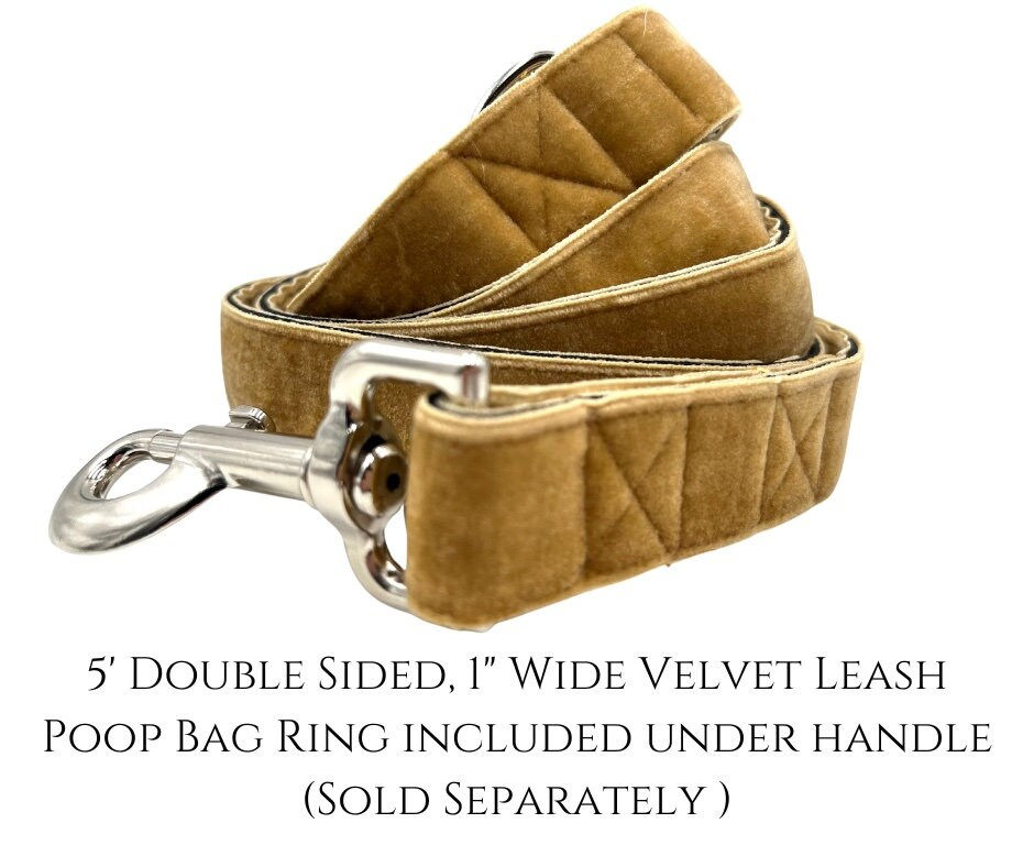 Thumbnail: Kismet Dog Collar: Gold & Turquoise Tapestry, Large Breed, Martingale or Buckle