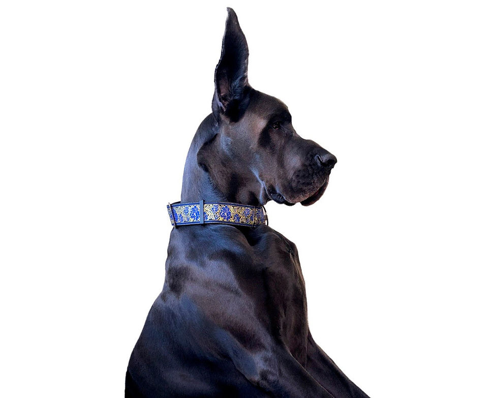 Thumbnail: Sapphire | 2" Wide, Blue & Gold Floral Dog Collar, Large Breed, Satin Lined