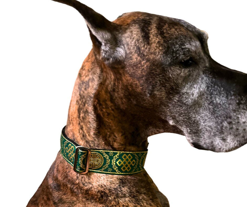 Thumbnail: Lotus Green | 2" Wide Dog Collar, Large Breed