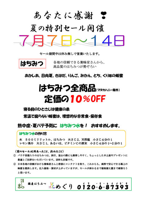 夏のセール開催します