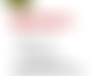 今月のおすすめ