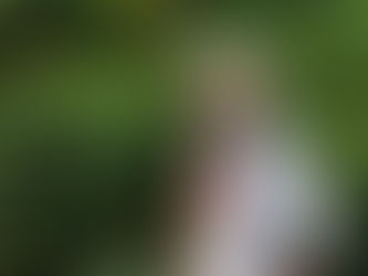 ¿Las regiones entidad territorial realmente logran encajar las piezas?