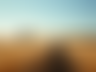 Students harvesting at Campbell Land