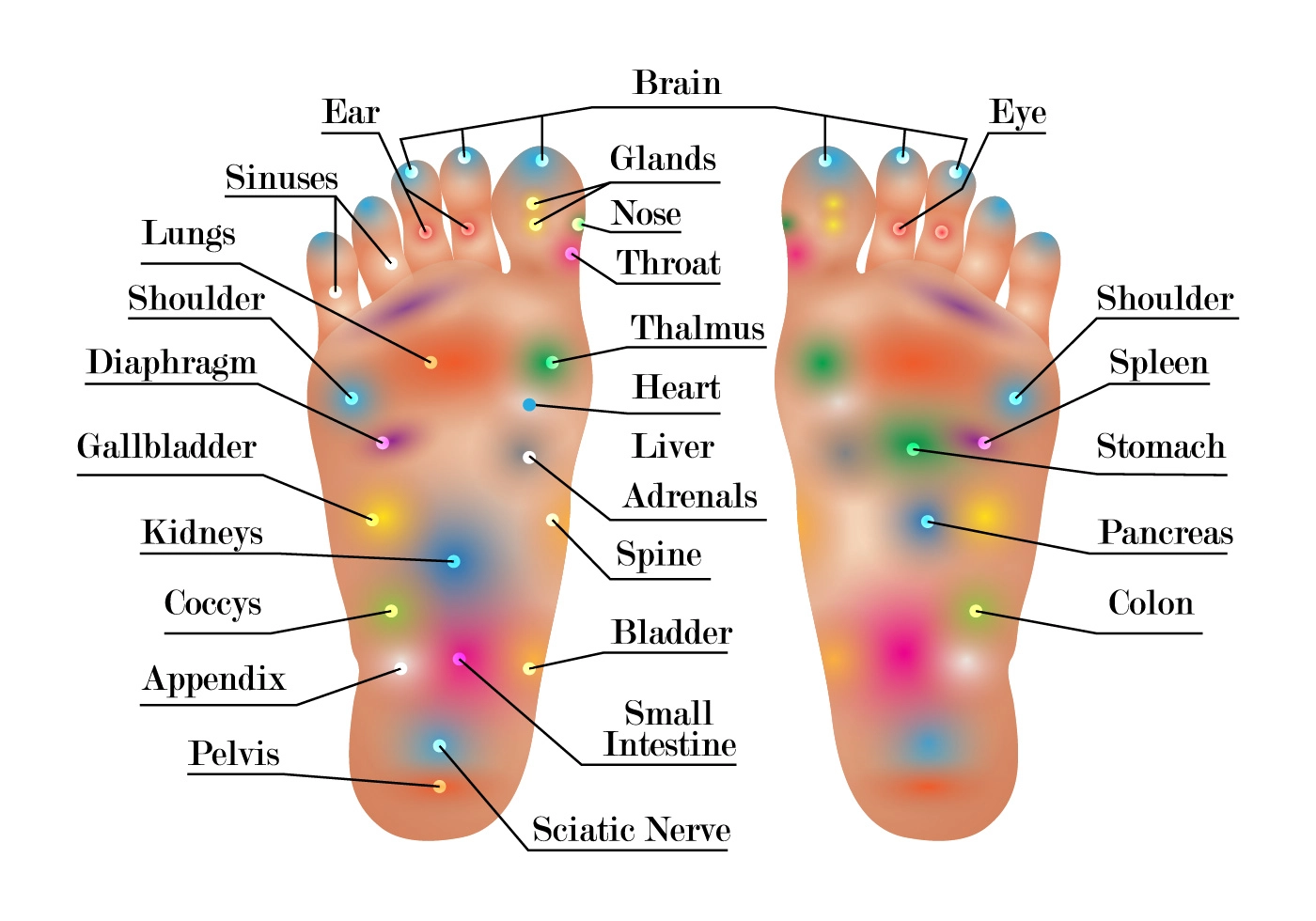 REFLEXOLOGY