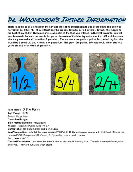 Vet Info 8-29 sale_Page_1.jpg