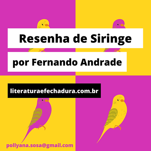 Como escreve Pollyana Sousa - pollyanasiringe- site - entrevistas e resenhas (5).png