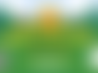 Vacation Bible School