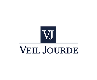 LOGO VJ_BLEU.png