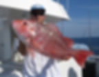 Head Boat fishing