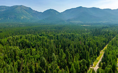DJI_0927.jpg