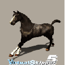 caballo