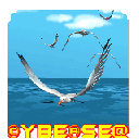 gaviotas
