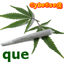 cohone