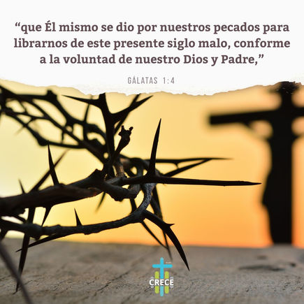 Devocional- Día #3 Reinicio del Sistema