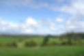 DSCF2083.JPG
