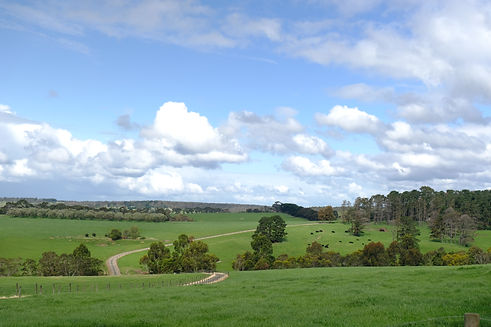 DSCF2083.JPG