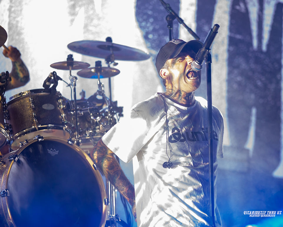 The Amity Affliction